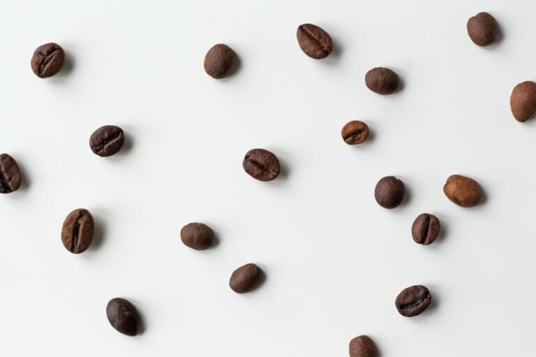 Arten von Kaffeebohnen – Zubereitung & Sorten von Kaffee