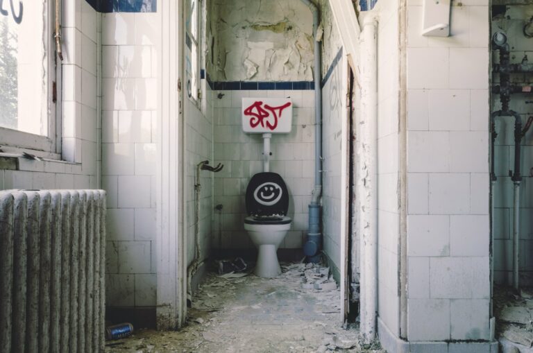 Verschiedene Formen von Toiletten – Typen Übersicht